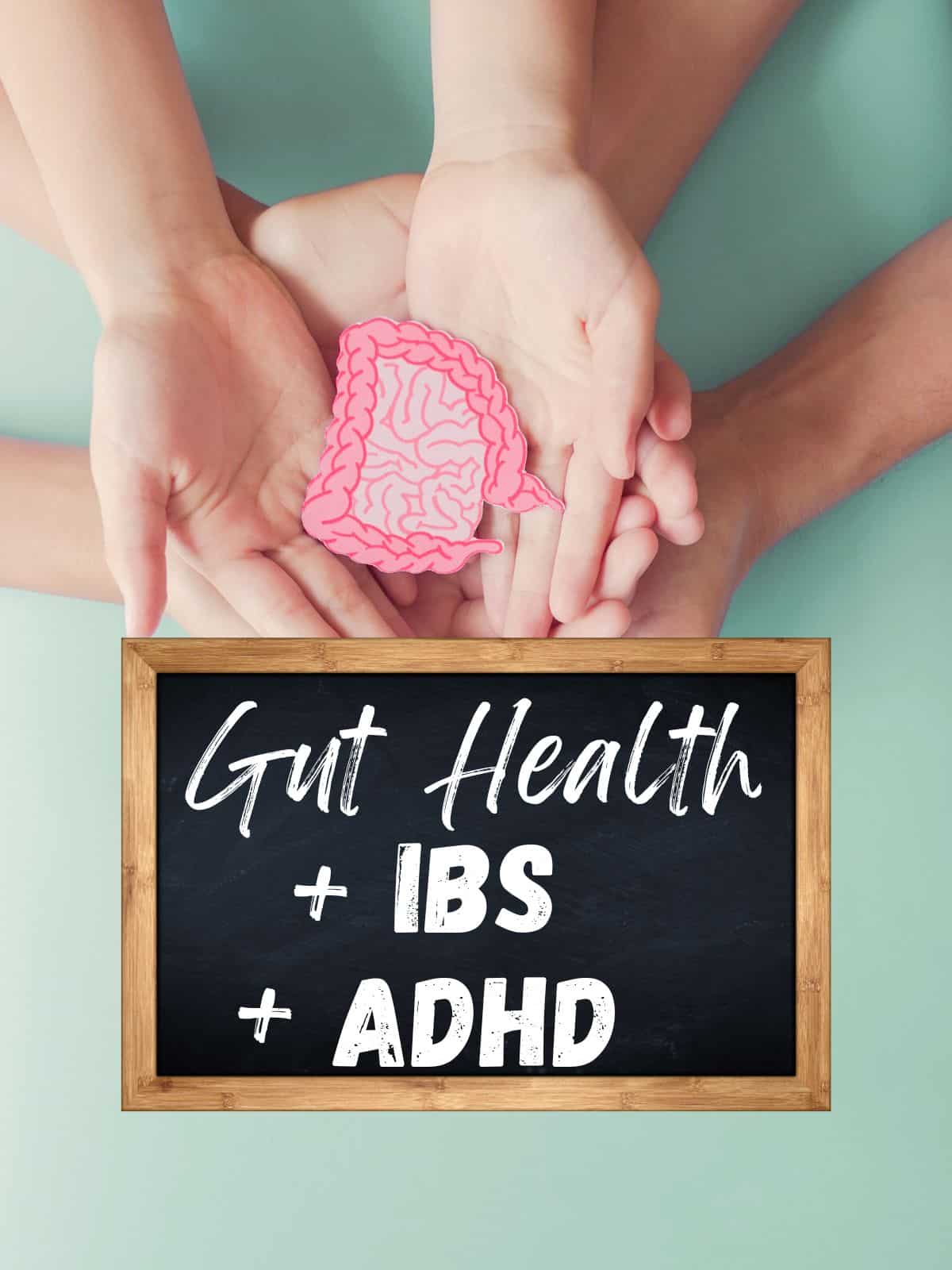 Hands holding a plastic demo intestines, with the text "gut health + IBS + ADHD."