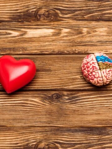 A picture of a brain and a red heart with the text "the ADHD brain vs. "normal brain."
